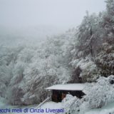 22112013.neve.01 007.vm